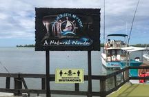 Luminous lagoon Dark night Tour from Ocho Rios and Runaway Bay Hotels 