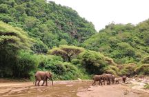 3 Days Nyerere (Selous) Park Private safari with Boat trip