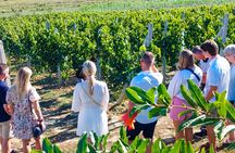 Durrës Countryside Vineyard Experience with Wine & Food Pairing