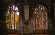 London through the lens: Iconic photo spots, hidden gems & food.