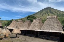 Solo Adventurer: your shared, all-inclusive tour across Flores!