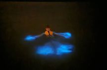 Orlando Bioluminescence Kayak Adventure
