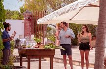 Historical Tour of Rural Park with 3 Apulian Wines Tasting