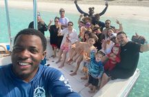 Pigs Beach, Green Turtle Cay, Rose Island Private Tour