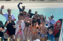 Pigs Beach, Green Turtle Cay, Rose Island Private Tour