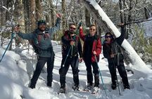 Private Half Day Andean Lakes Experience with pickup