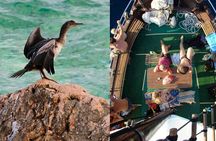 Krk: Hidden Beaches & Local Flavors (Bruschetta Optional)