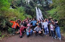 Huilo-Huilo Biological Reserve Full Day Tour