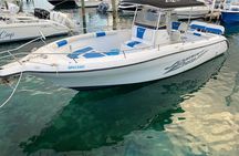 Pigs Beach, Green Turtle Cay, Rose Island Private Tour