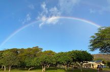 Diamond Head Hiking Tour with Ticket and Reservation Inclusion