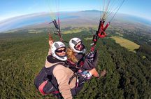 Paragliding Experience