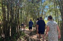 Half- Dmz (demilitarized Zone) Tour From Hue
