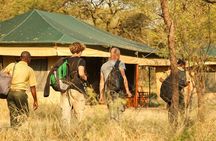 5-Day Private Safari Tour in Tanzania's Wildlife