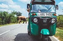 Sigiriya and Dambulla Private Day Tour by Tuk-Tuk or Car