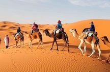  2Days Share Tour From Fes To Fes Or Marrakech Via Sahara Tour 