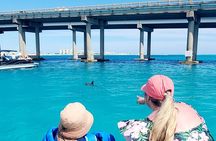 Private Captained Pontoon to Crab Island in Destin 3,4,5, or 6 Hr