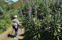 Gran Canaria private walks