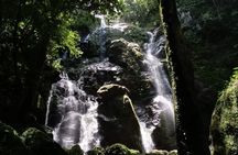 Full-Day Wild Trekk in Panama, Eco Adventure & Culinary Delights