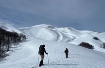 Ascent of the Quetrupillán Volcano