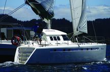 Maori Rock Carvings - Taupo Sailing Adventures -Tiua