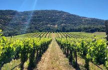 Discover Napa Valley’s Hidden Gems with Local Sommelière 