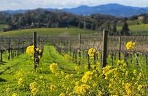Discover Napa Valley’s Hidden Gems with Local Sommelière 
