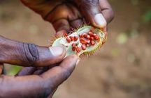 Zanzibar: Walking Spice Tour with Guide