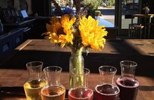 Guided Wine Tasting in Sebastopol with Local Sommelière 
