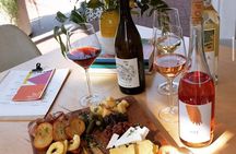 Guided Wine Tasting in Sebastopol with Local Sommelière 