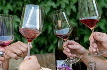 Guided Wine Tasting in Sebastopol with Local Sommelière 