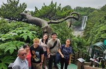 Jeju Mt. Hallasan hiking & Oreum Volcanic Cone Day TOUR