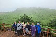 Jeju Mt. Hallasan hiking & Oreum Volcanic Cone Day TOUR