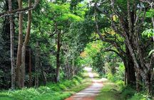 Full-Day Discover Northern Phu Quoc Island