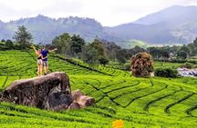Private Car Charter From Bandung
