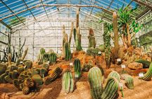 Chiang Mai Mon Jam Highlands and Pongyang Full-Day Private Tour