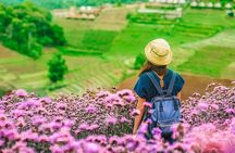 Chiang Mai Mon Jam Highlands and Pongyang Full-Day Private Tour