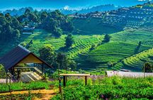 Chiang Mai Mon Jam Highlands and Pongyang Full-Day Private Tour