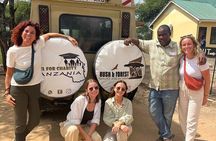 3-Day Tarangire, Ngorongoro and Lake Manyara Camping Safari