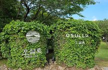 Small group Jeju private Full-Day Tour of East and South and West