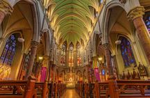 Dublin City & St Patrick's Cathedral Half-Day Tour by Car
