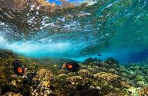 Two Stop Snorkel Adventure from Maui