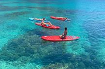 SUP tour in the crystal clear waters under the Sella del Diavolo