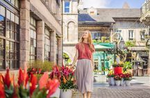 Skip-the-line Book of Kells and Dublin Old Town Private Tour 