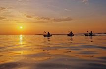 Alcudia: Guided Sea Kayaking & snorkelling Tour (day & sunset) 