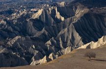 Full-Day Private Wilderness Tour in Vashlovani National Park