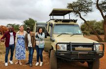 Half-Day Nairobi National Park Private Tour with admission