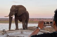  Chobe Full Day Trip