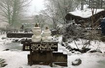  Eobi Ice Valley / Elysian Ski Resort / Nami Island