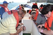 A taste of Los Cabos. A San Jose and Cabo San Lucas City Tour 