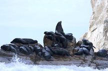 A taste of Los Cabos. A San Jose and Cabo San Lucas City Tour 